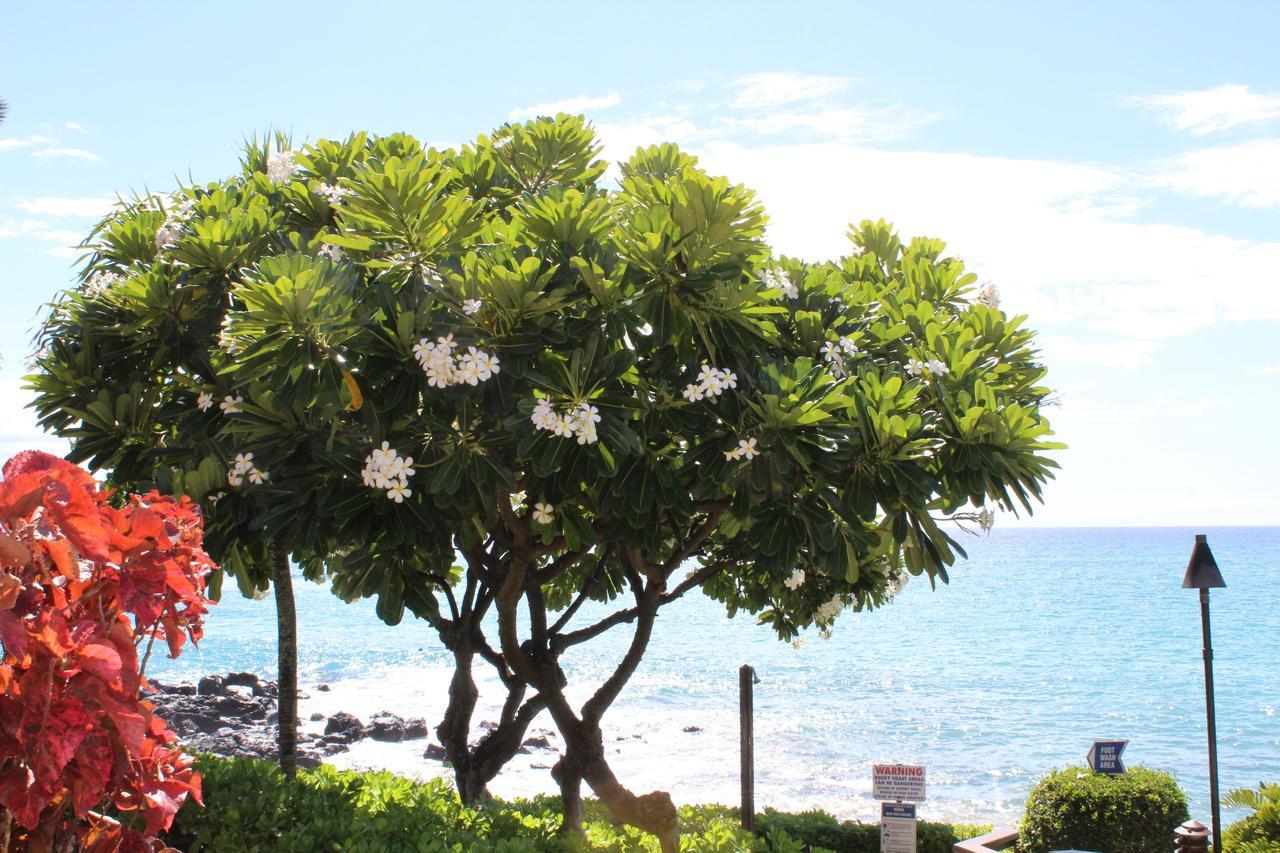 Kuleana Resort 618 Lahaina Luaran gambar